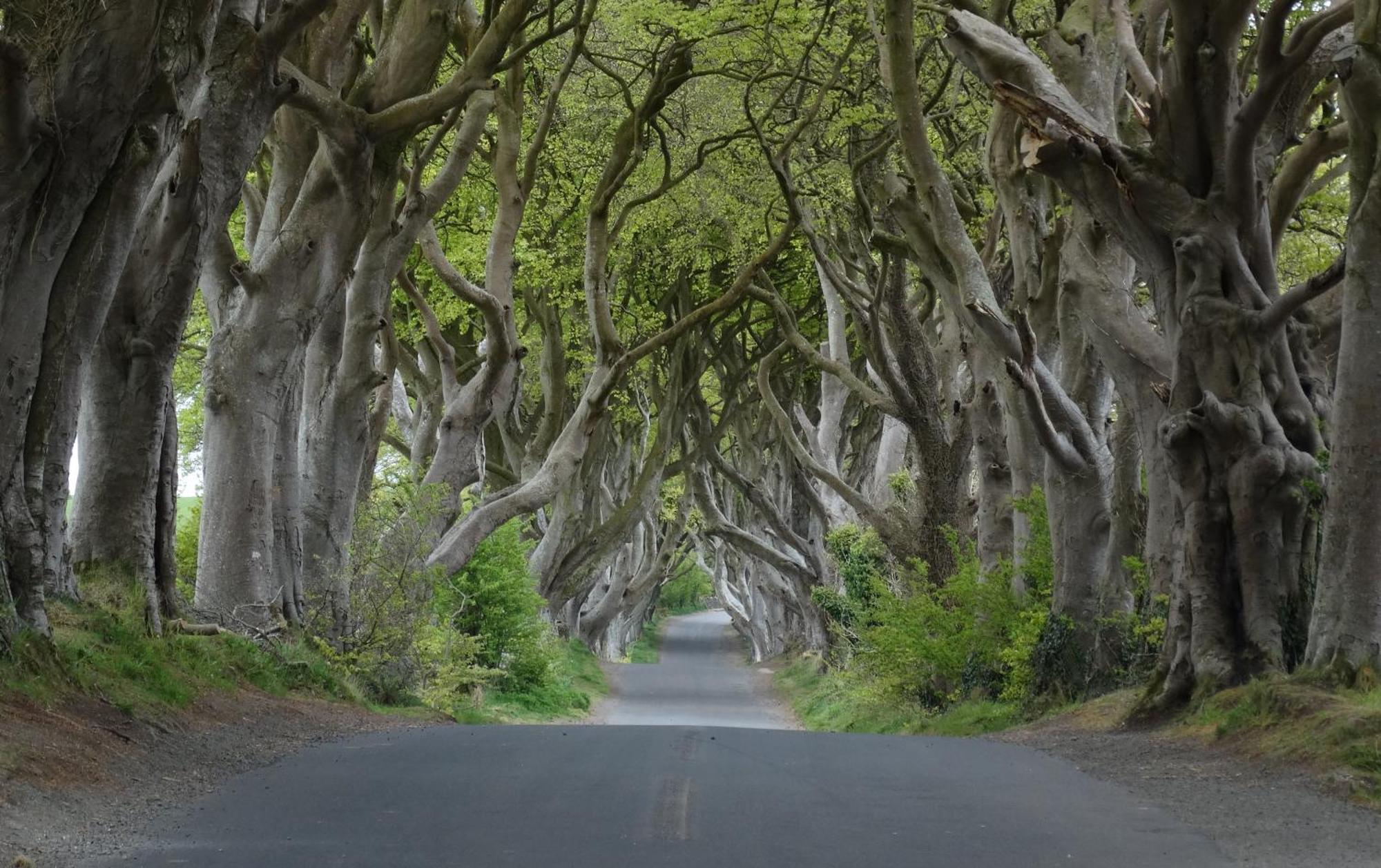 The Hedges Hotel Stranocum Luaran gambar